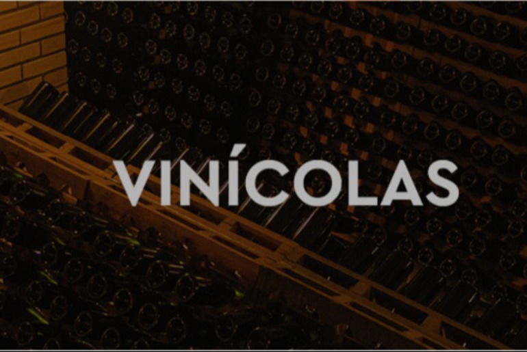 Plataforma do Vinho Brasileiro ganha aplicativo